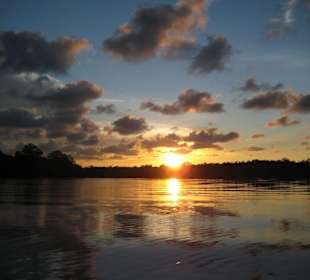 Sonnenuntergang in den Mangroven