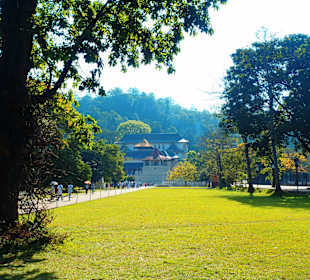 Panorama Świątyni z parku