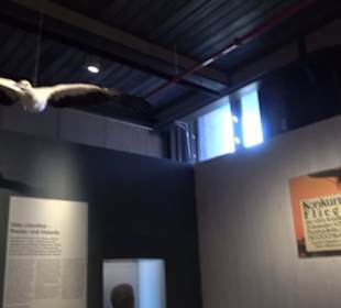 Deutsches Technikmuseum 