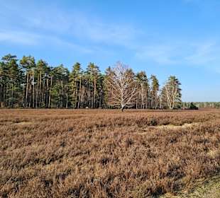 Wandern Egestorf