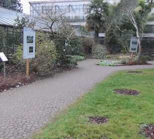 Flora und Botanischer Garten