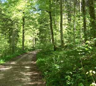 Magolsheimer Buchtalweg