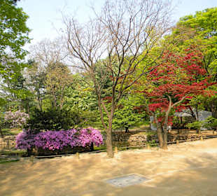 Jongmyo Shrine