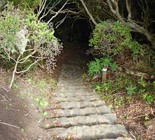 Garajonay National Park