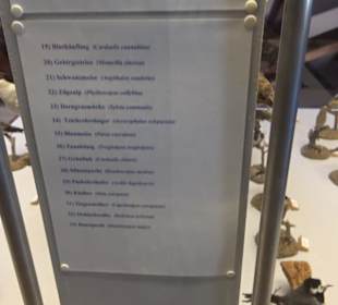 Natur- und Jagdmuseum