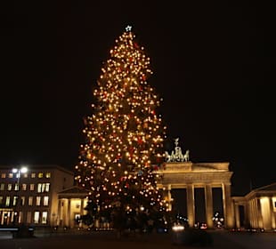 Weihnachtsbaum vor dem Brandenburger Tor