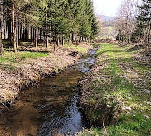 Wandern Drachselsried