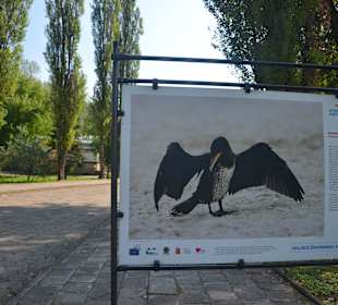 Zoo