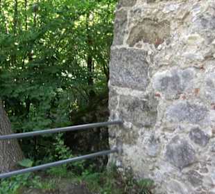 Burgruine Niederhaus