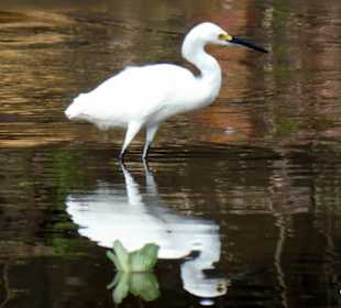 Relax Day Tour mit Federico. Eine kleine Auswahl