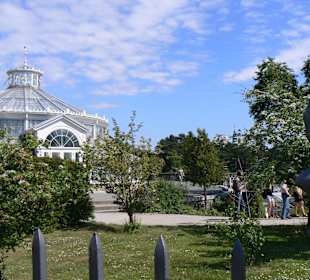 Das Palmenhaus am Eingang