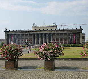 Mit der 100 durch Berlin