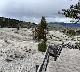 Yellowstone Nationalpark