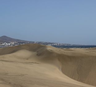 Blick auf die Dünen. In 5 Min. zu Fuß erreicht
