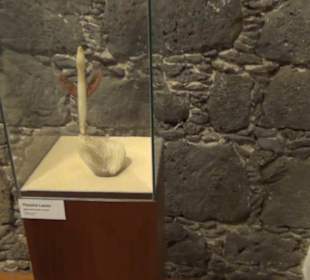 Castillo de San José