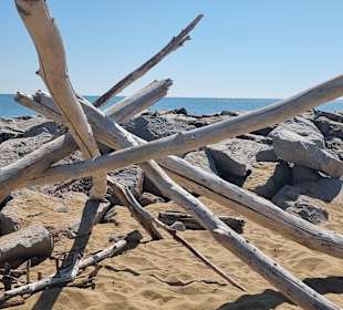 Da wird immer fleißig gebaut