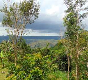 Puncak Becici