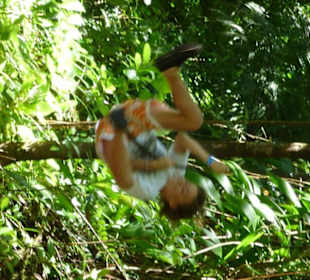 Schwingen an der Liane