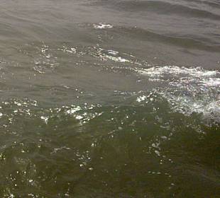  Strand Side in Side, Türkei 