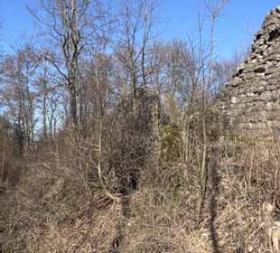 Burgruine Hohenstein