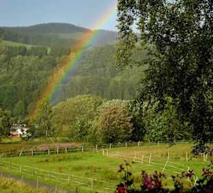 Have your camera ready