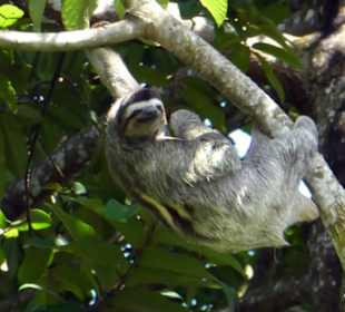 Relax Day Tour mit Federico. Eine kleine Auswahl