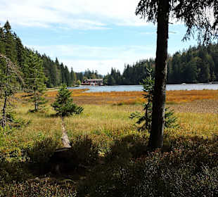 Großer Arbersee 
