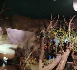 Zoologischer Garten Prag