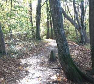 Höllenlöcher Hohenneuffen