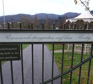 Rosenneuheitengarten