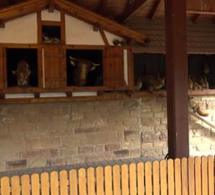 Erlebnispark Tripsdrill