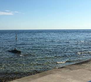 Yachthafen Novigrad