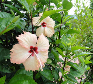 Ausflug Wildfife Expeditions- Rastplatz