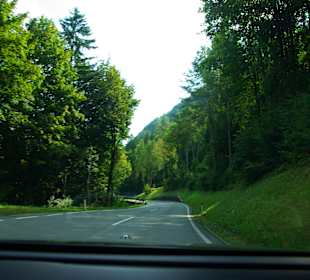 Viel Wald auf der Strecke