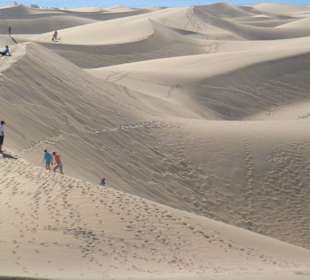 Dünnen von Maspalomas