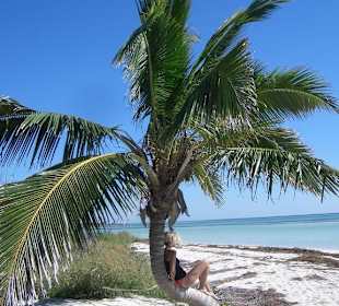 Bilderbuchpalme Bahia Honda Key