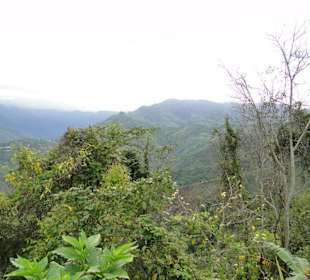 Ausflug Wildfife Expeditions- Rastplatz