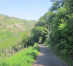 Impressionen Kräuterweg in Assmannshausen