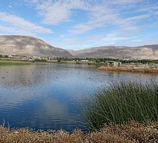 Naturschutzgebiet Laguna Nimez