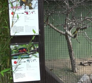 Zoo Heidelberg