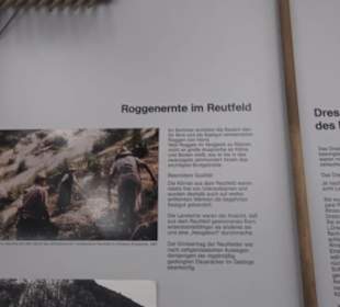 Heimatmuseum im Herrenhaus