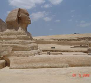 Sphinx