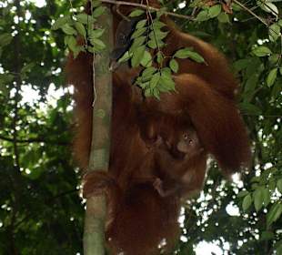 Unvergessliche Erlebnisse