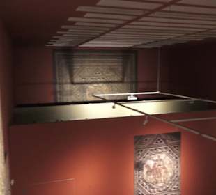 Rheinisches Landesmuseum 