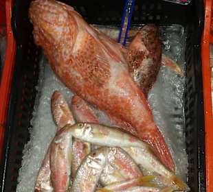 Leckerer Fisch beim Mare Blue