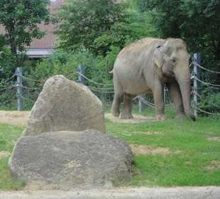 Zoologischer Garten 2016