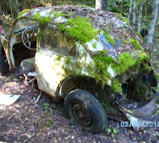 Autofriedhof am Foxen