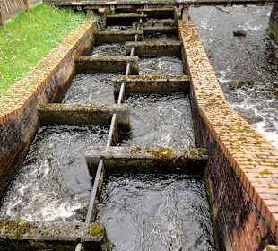 Fisch-Aufstiegshilfe an der Klostermühle