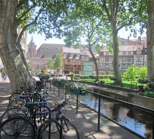 Altstadt Colmar Museum Unterlinden