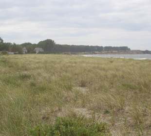 Düne in Richtung Wustrow